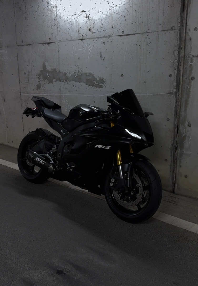 @月 tsuki
