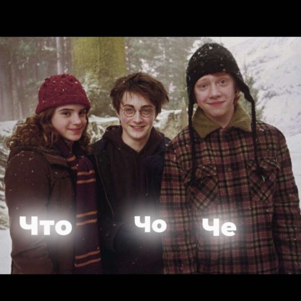 @⚯͛ harry ▕⃝⃤