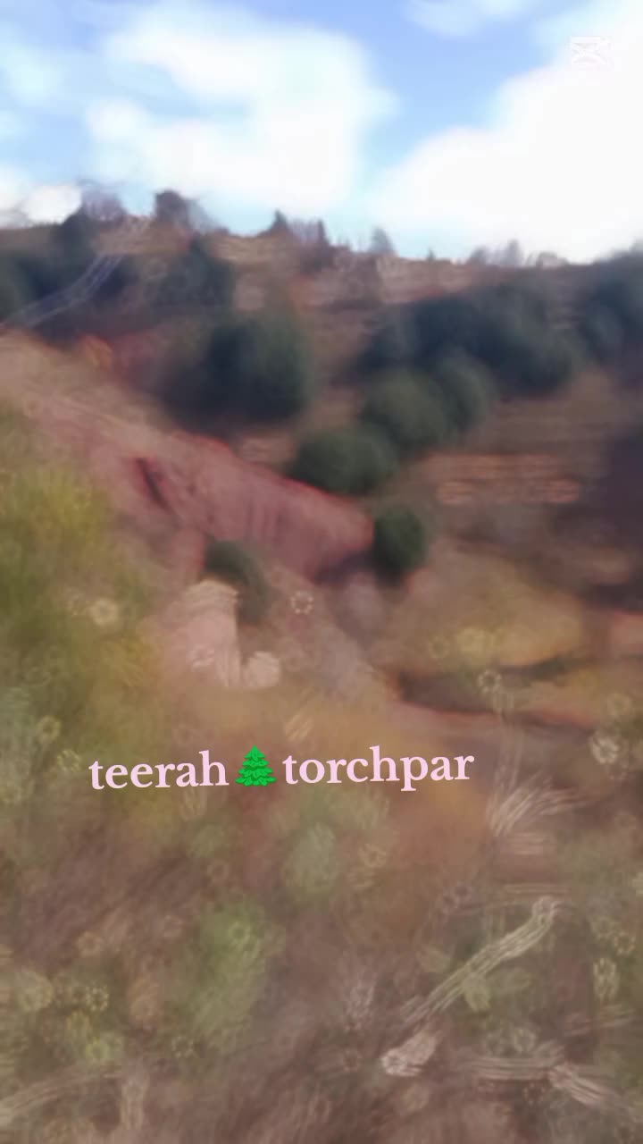 @𝐌𝐀𝐍𝐒𝐎𝐎𝐑🌲🦅𝐀𝐫𝐦𝐚𝐧𝐢