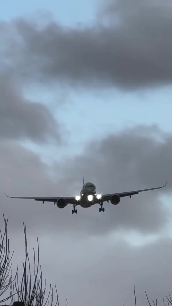 @الشاوي 🔥🇩🇿المتمرد🕸️ 🛩💙