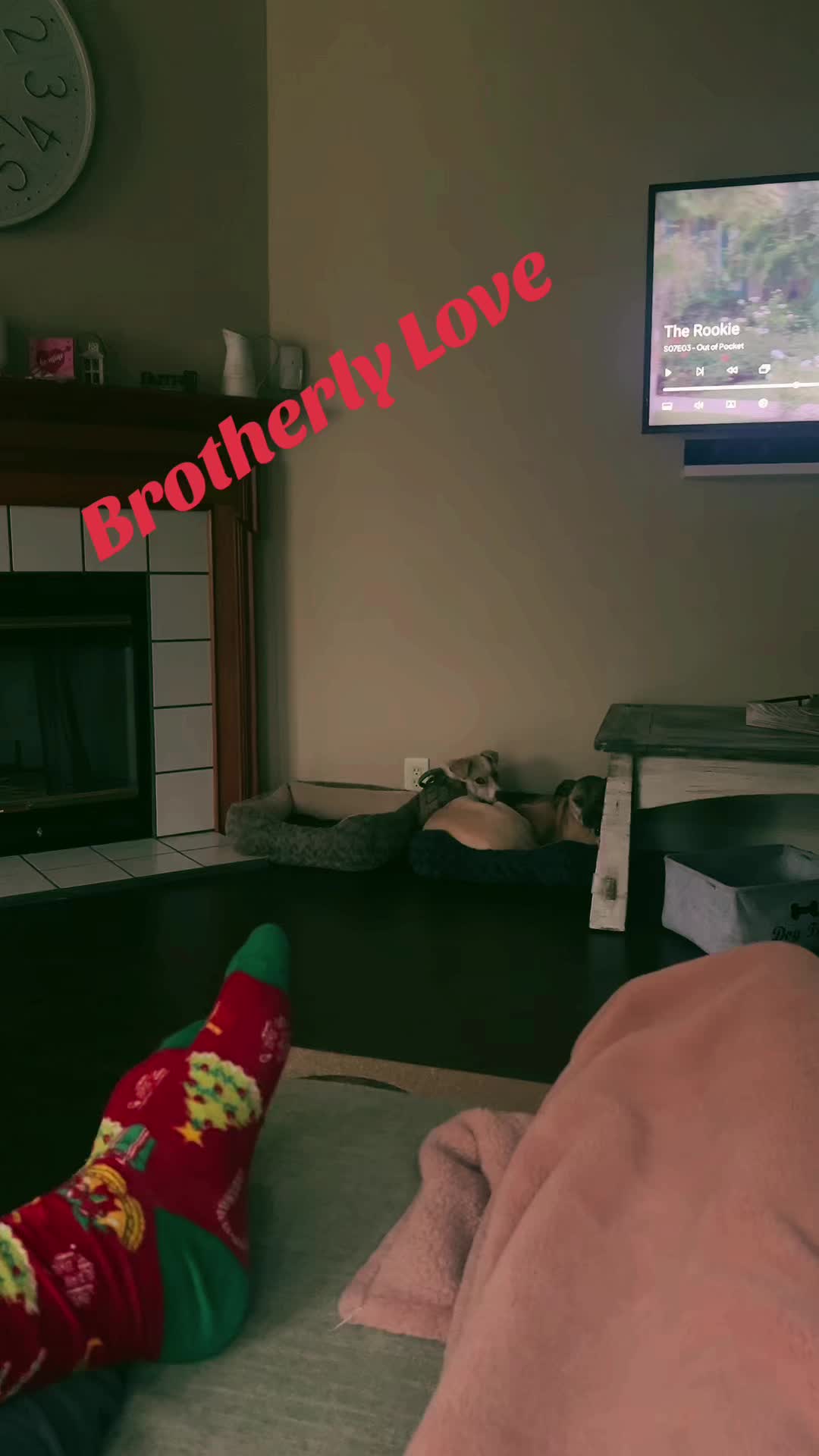 @Natalie♥️Cooking♥️Doggies