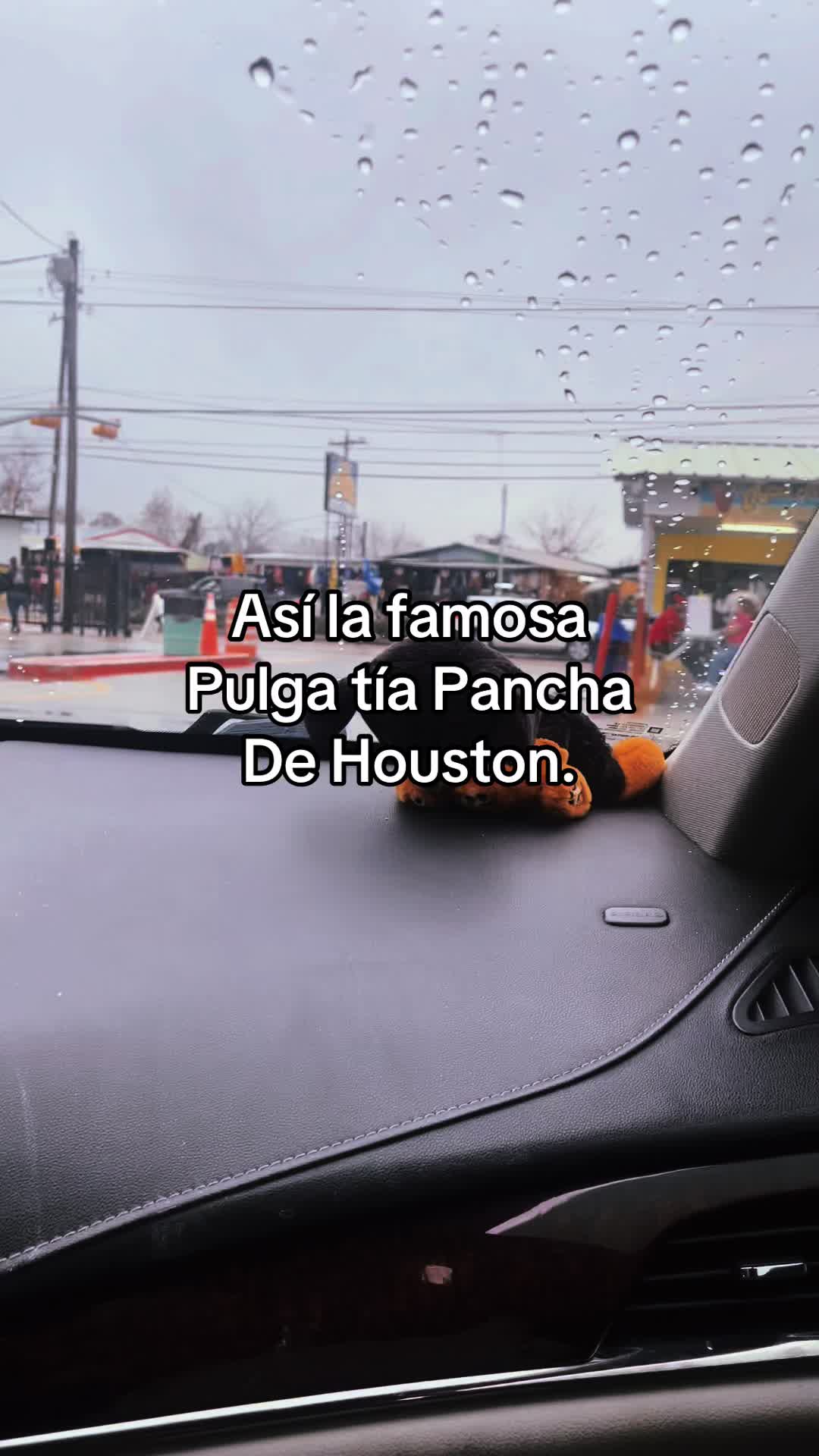 @👑LA-CHULA 👑