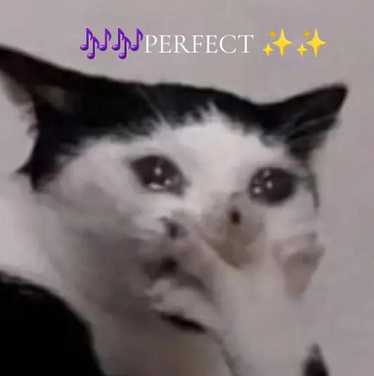 @🎧🎶✨️ ElCaTPana✨️🎶🤙