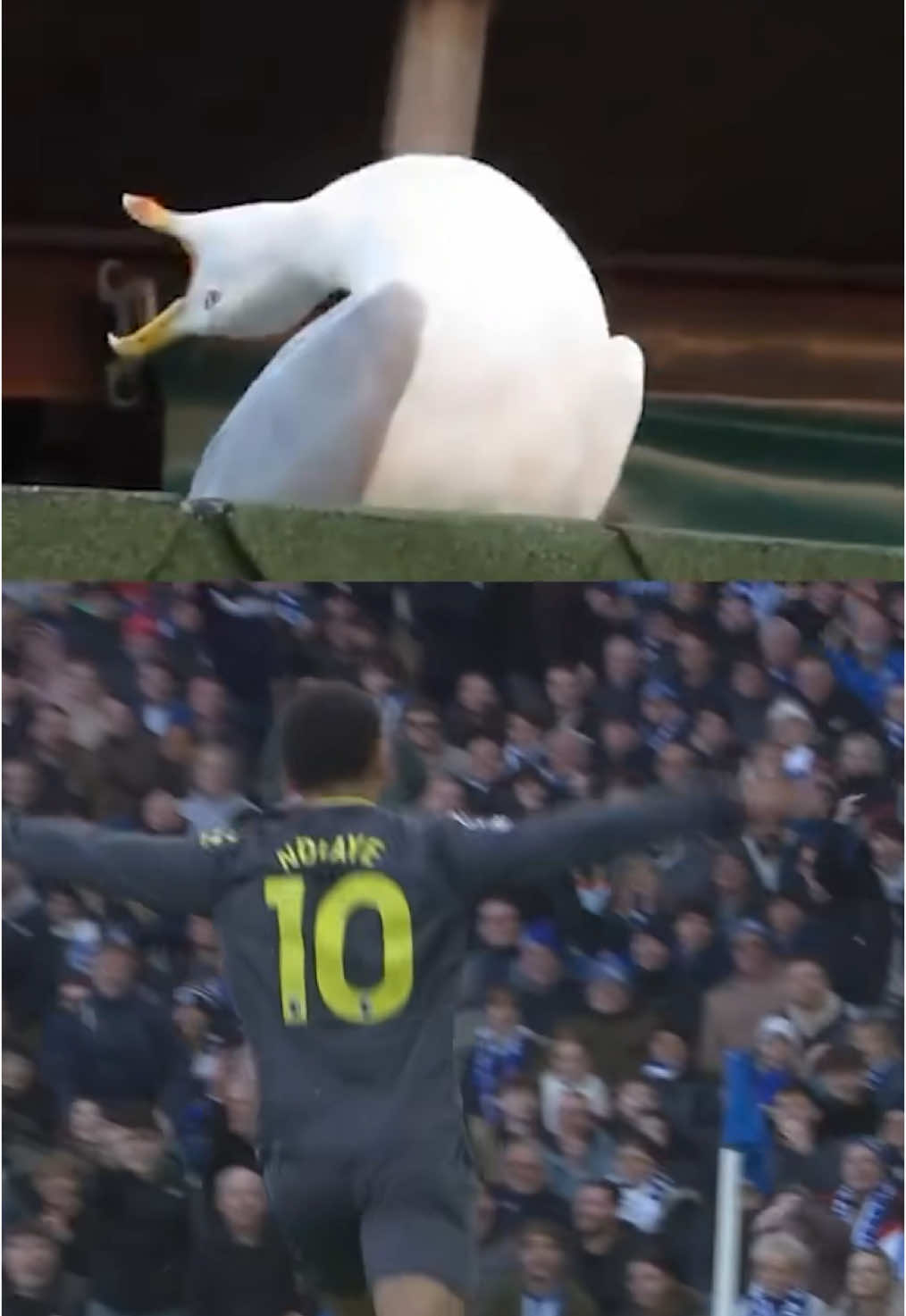 @Everton