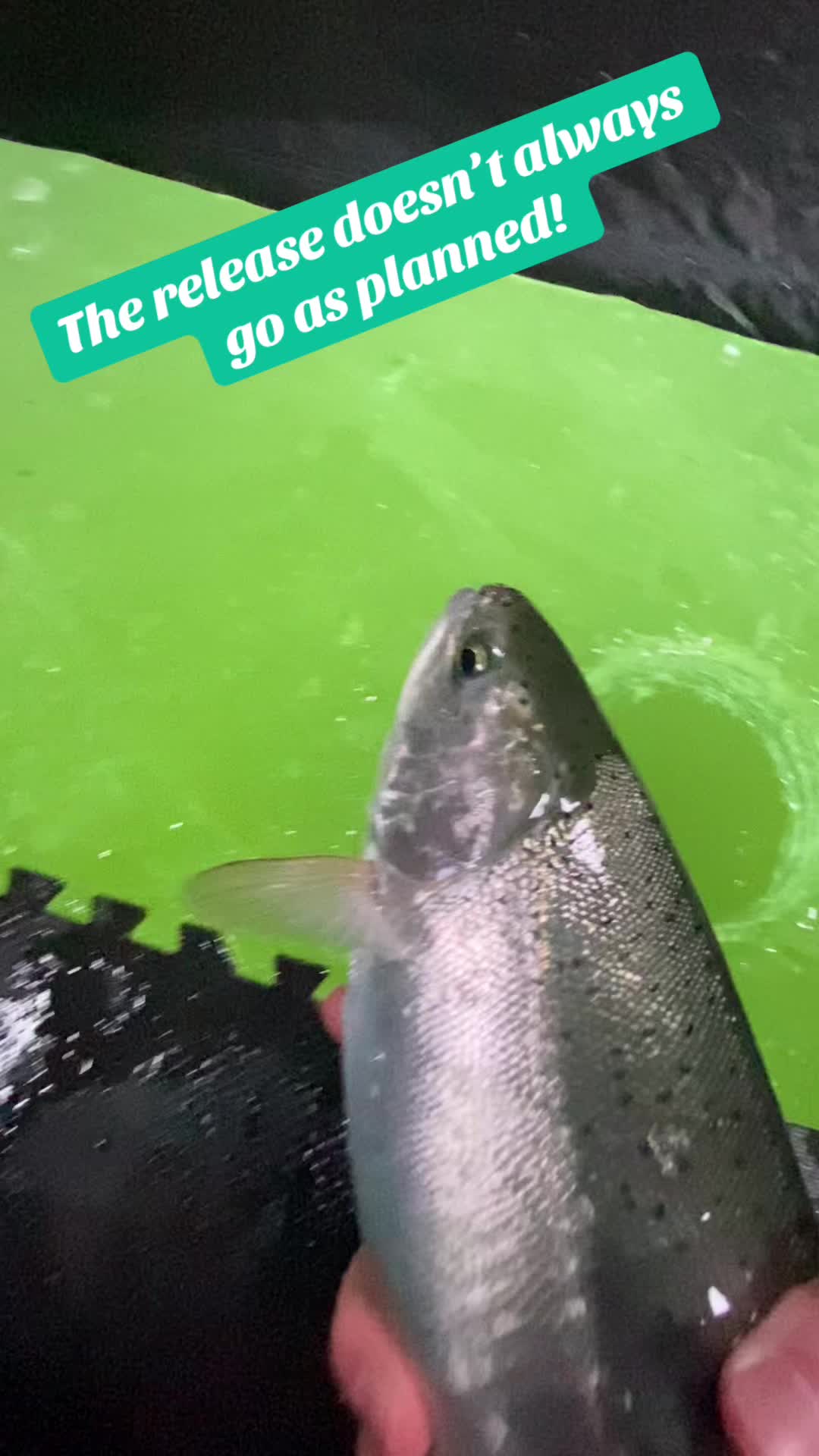 @Jared fishing BC