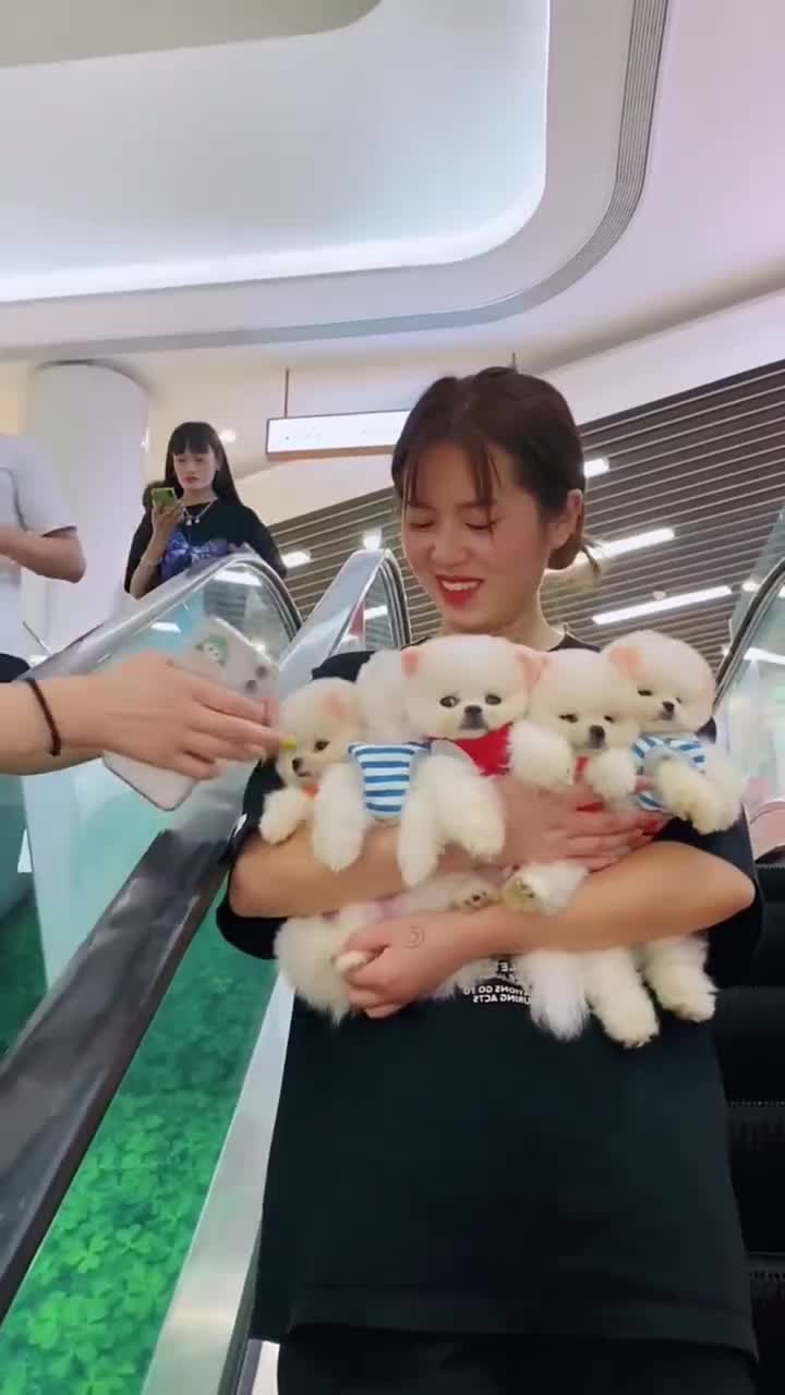 @𝙎𝙩𝙖𝙩𝙪𝙨_𝙆𝙞𝙣𝙜👑