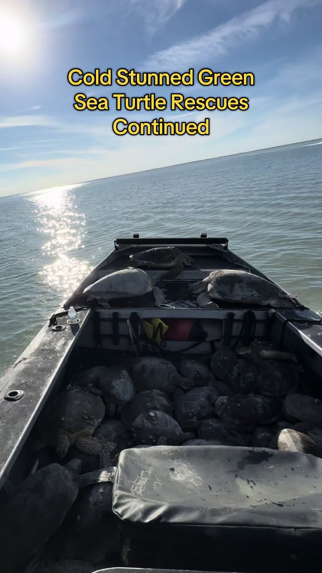 @Sea Tow Corpus Christi