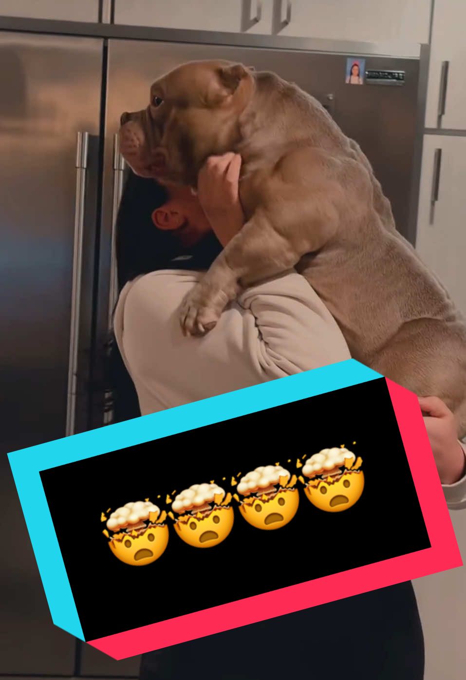 @ViralBullyVideos