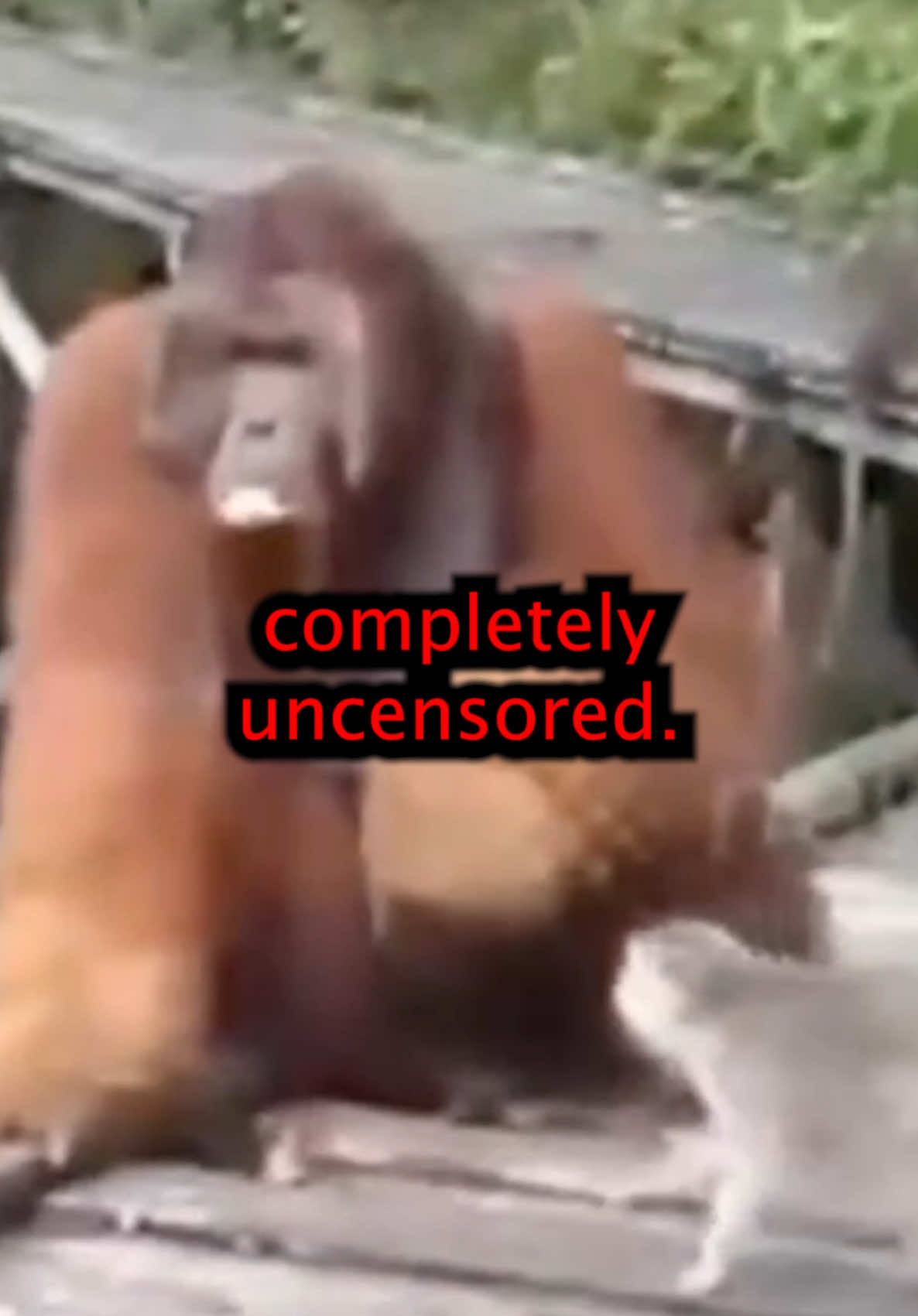 @WOWMAN