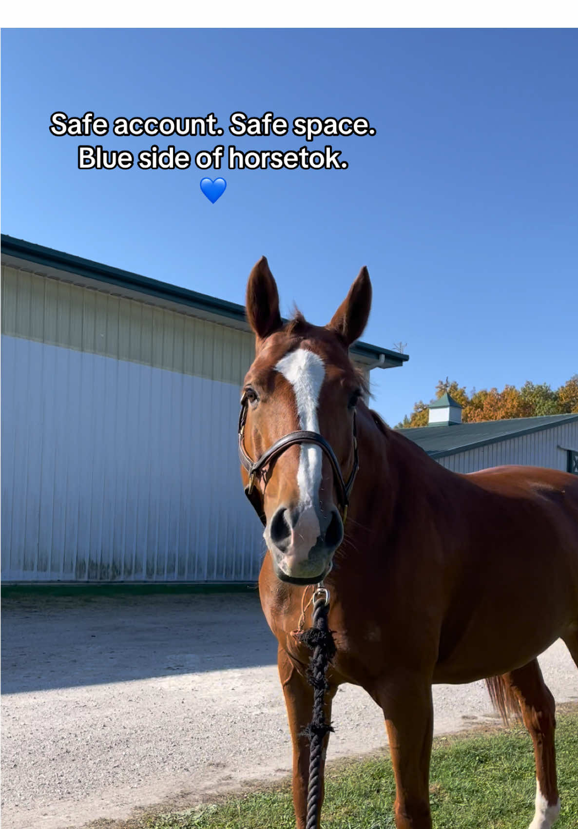 @EM Equestrian