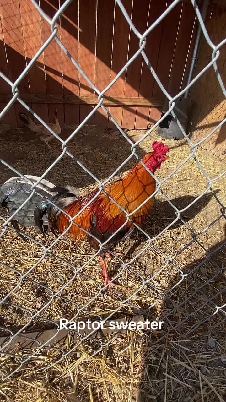 @A.MENDOZA.FARM.USA 74HWY