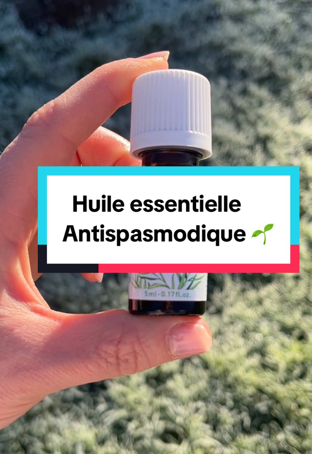 @Marine R&eacute;flexo-analyste