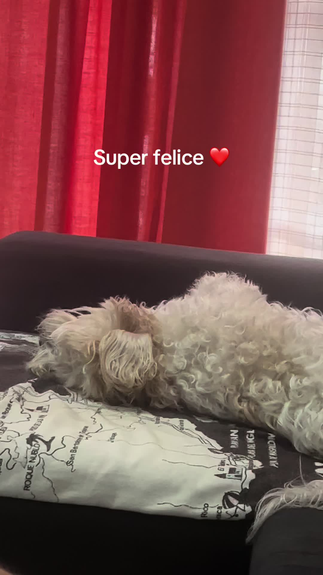 @Micina&mdash; annamaria