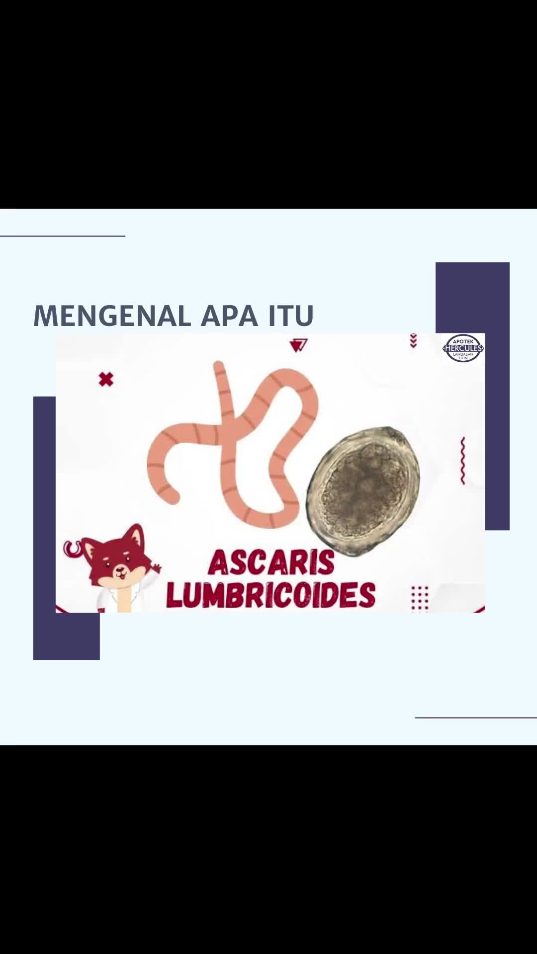 @Official Apotek Hercules
