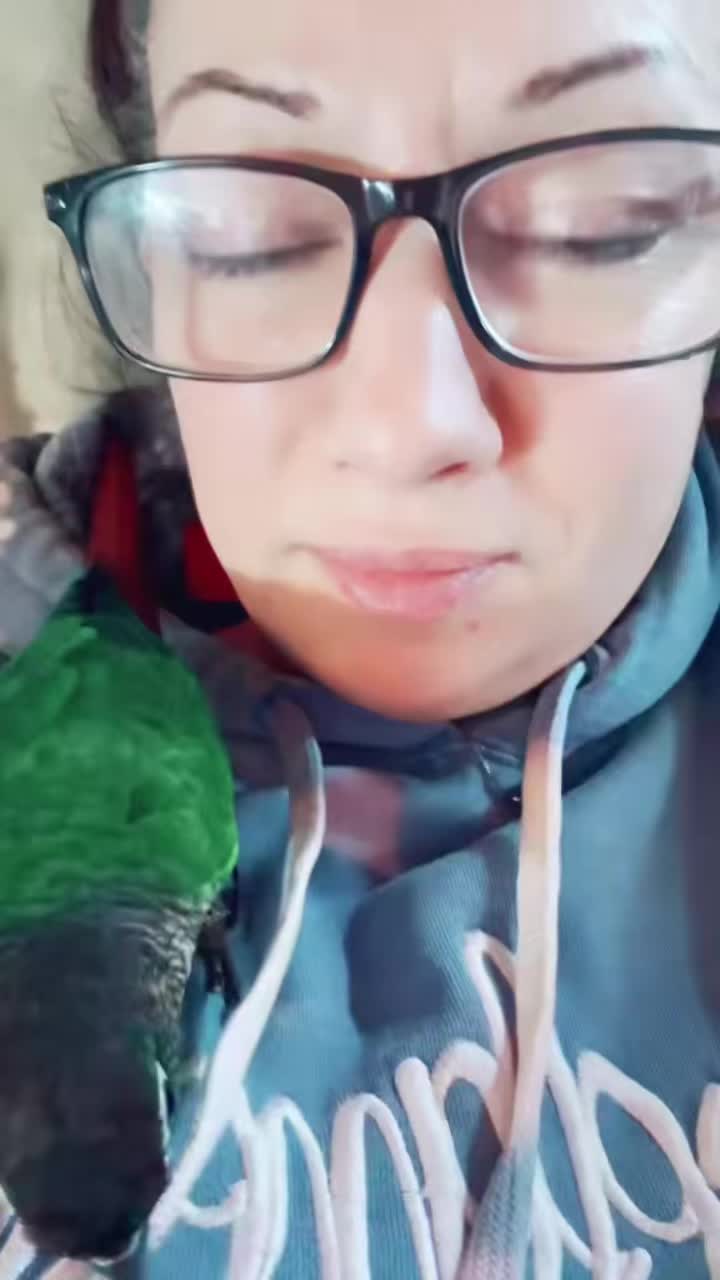 @Animal&ensp;Antics