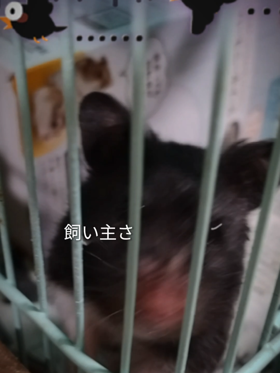 @マサトルの楽園