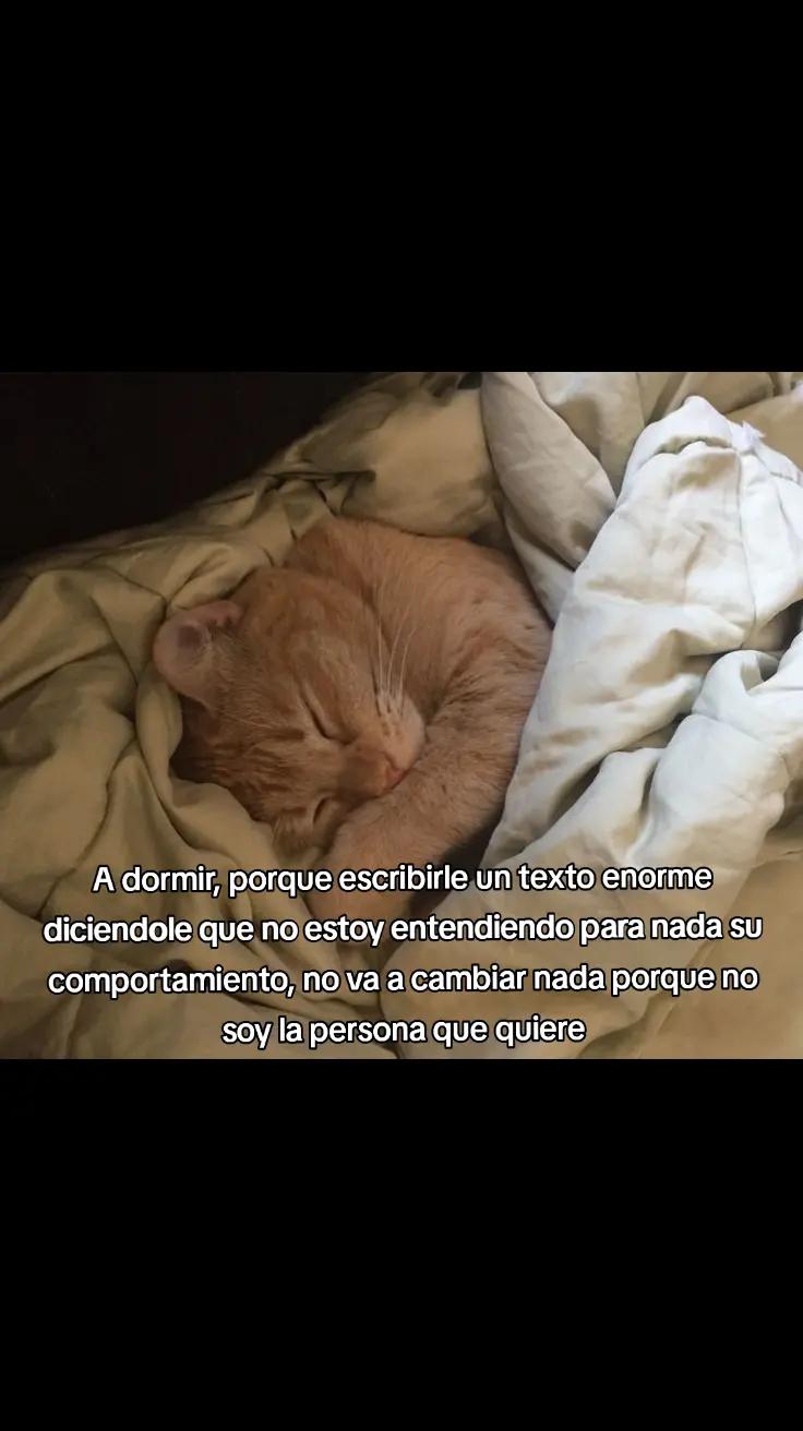 @Gabo
