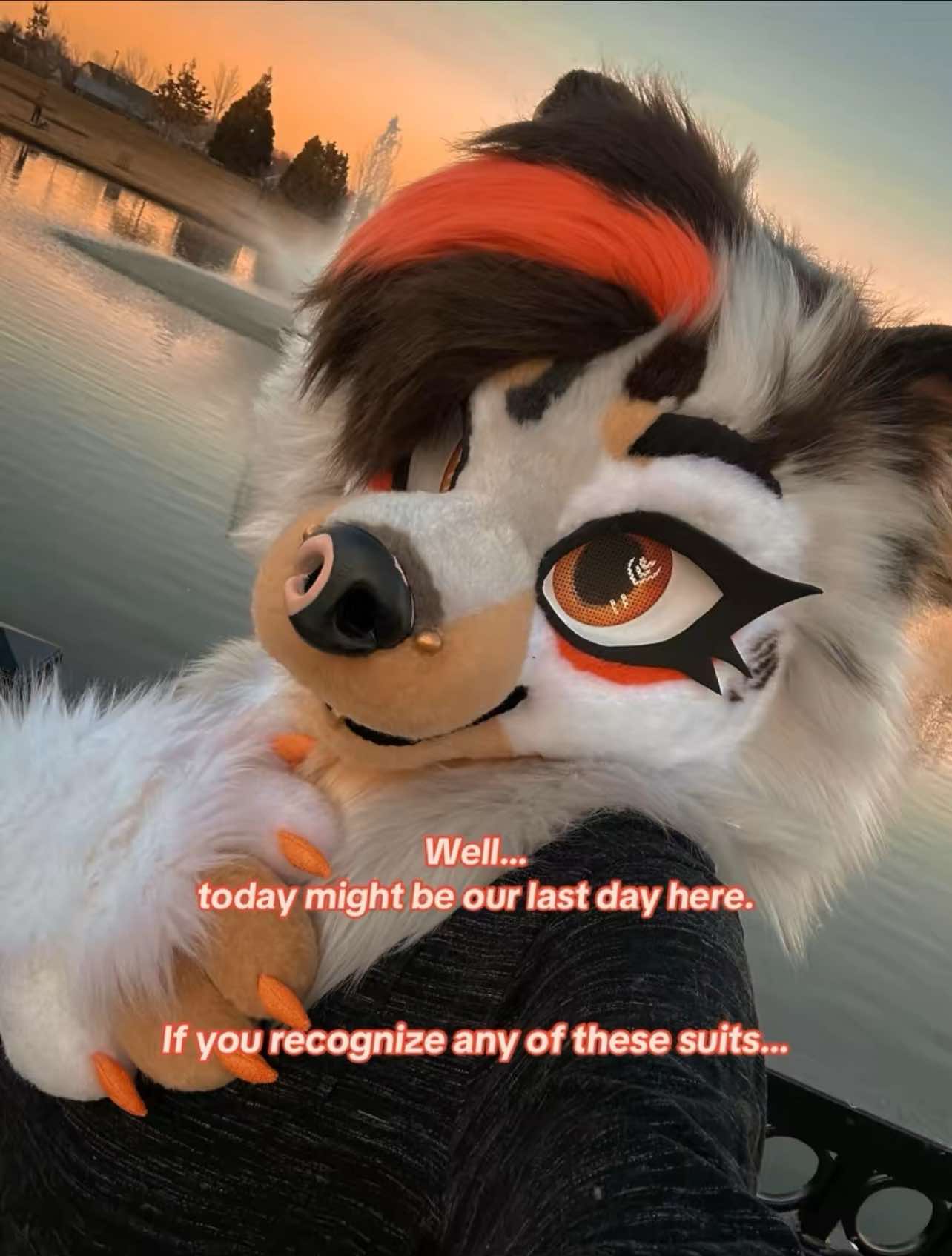 @☕︎ 𝐑𝐨𝐦𝐚𝐧 🔜 Furlandia