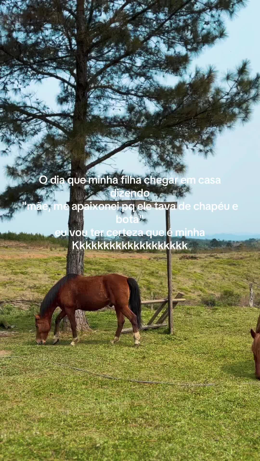 @LM