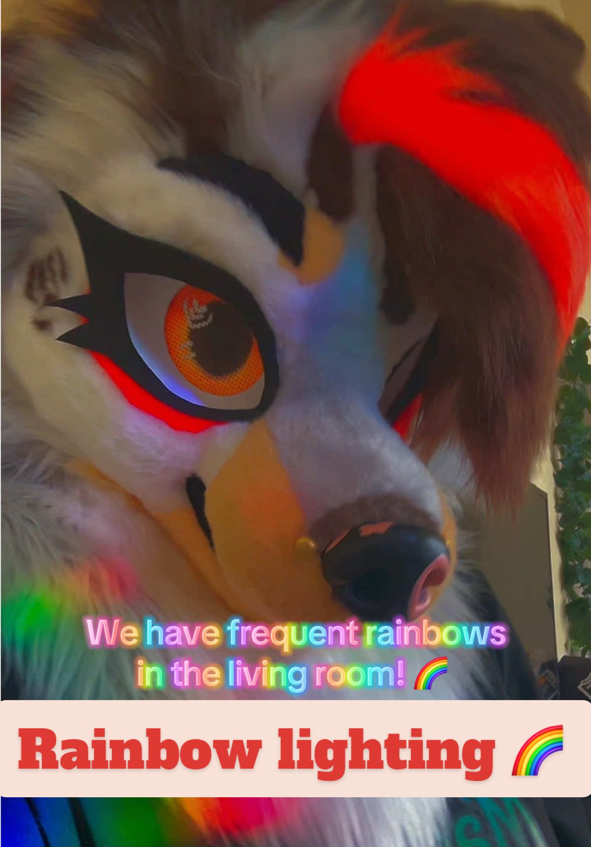 @☕︎ 𝐑𝐨𝐦𝐚𝐧 🔜 Furlandia