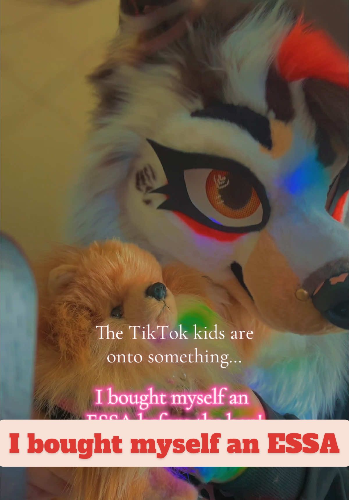 @☕︎ 𝐑𝐨𝐦𝐚𝐧 🔜 Furlandia