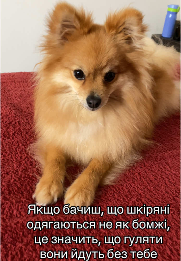 @Марина