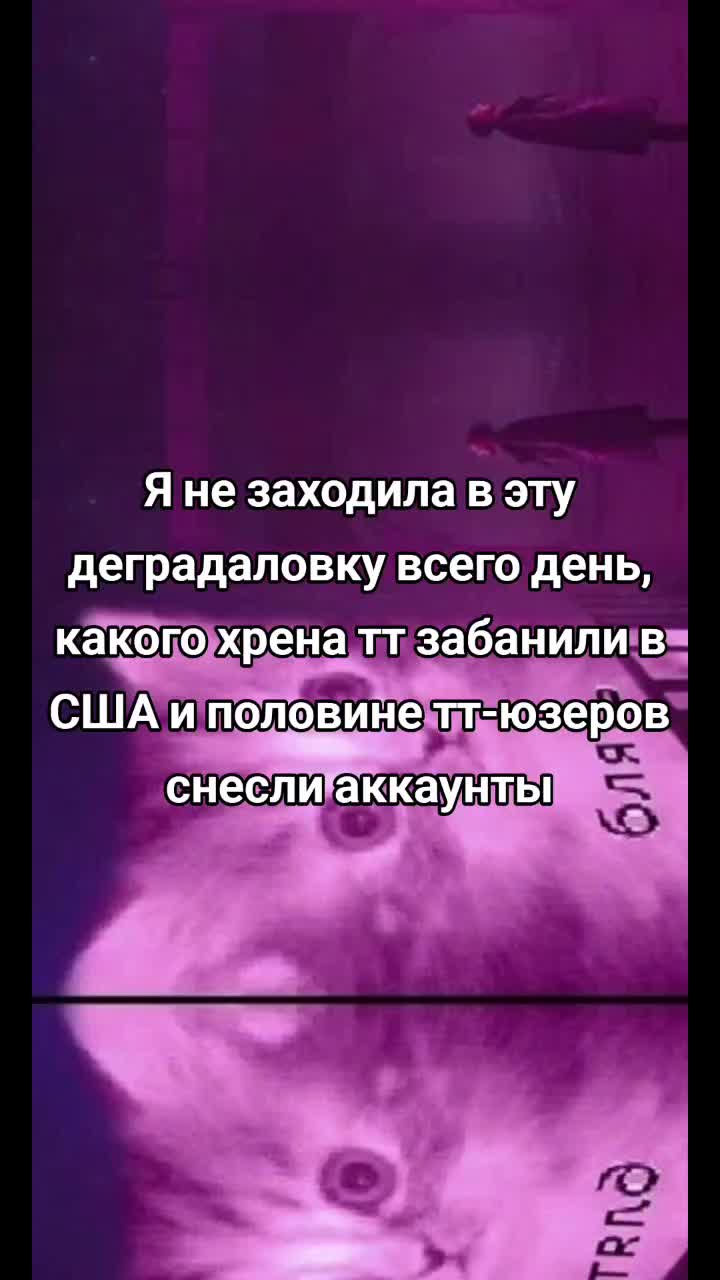 @аргентум
