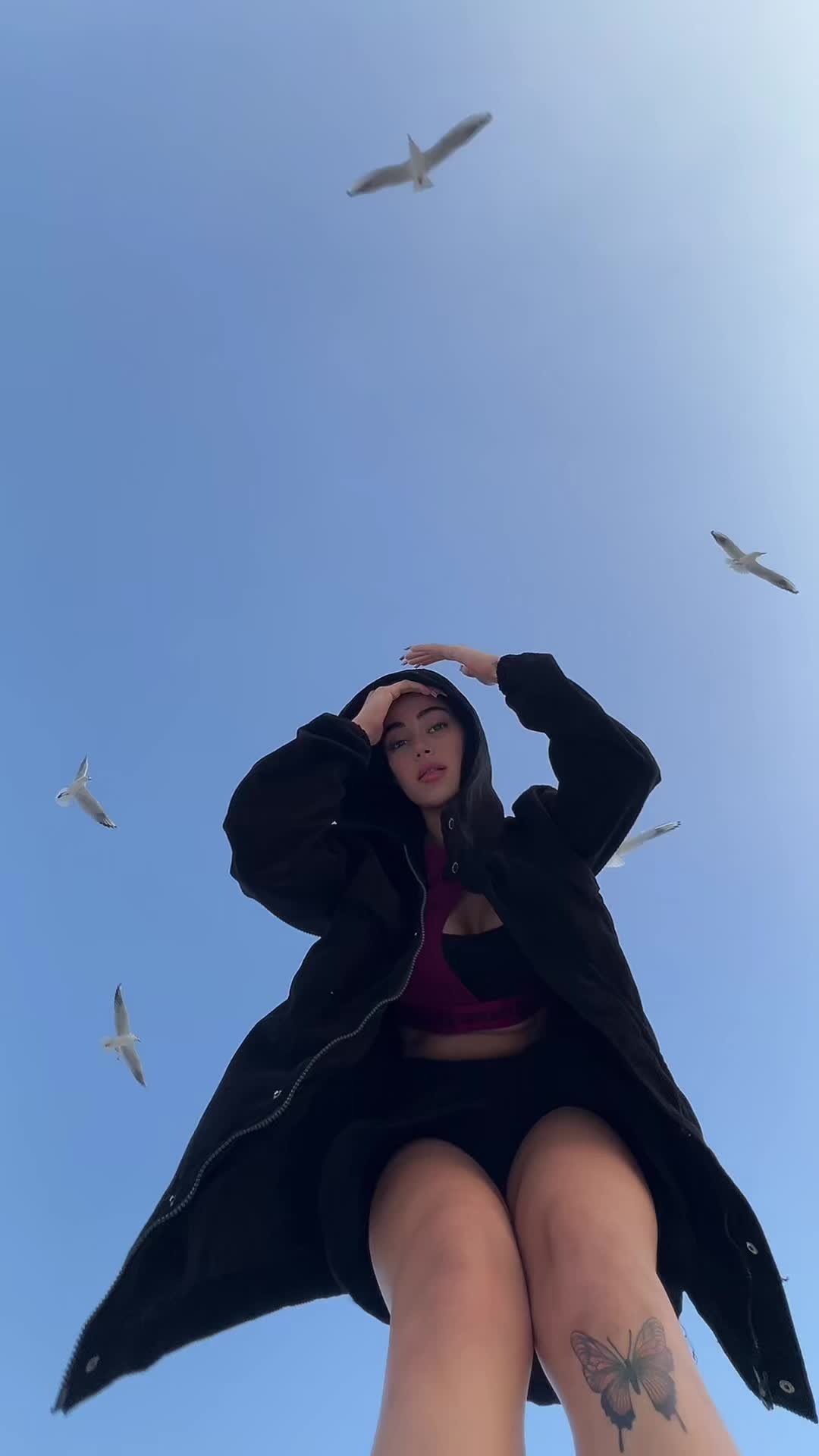 @Negin fazli