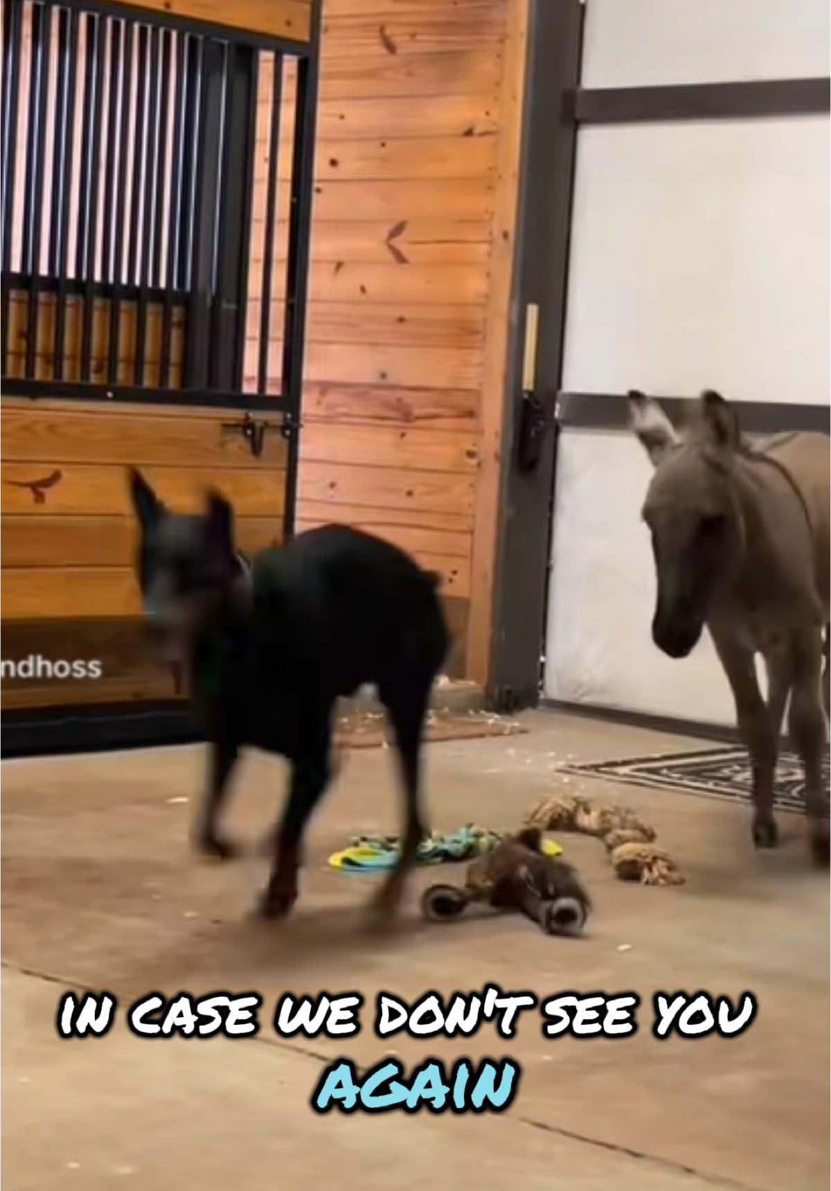 @TracyandHoss
