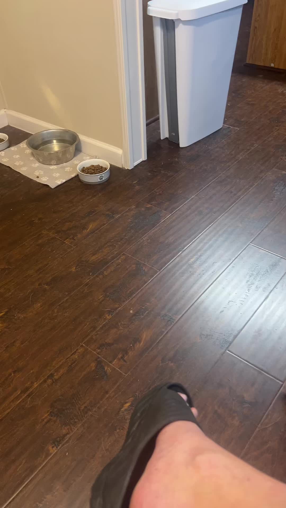@Natalie♥️Cooking♥️Doggies