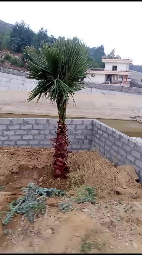 @babar khan