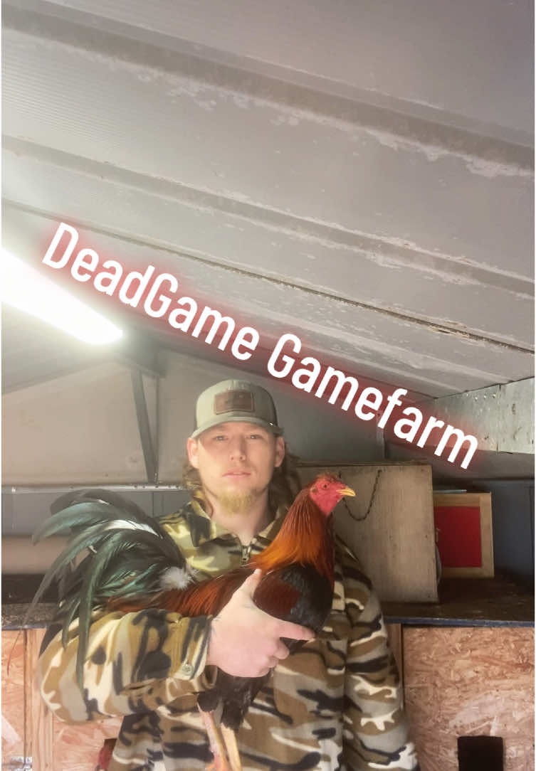 @DeadGame.Gamefarm