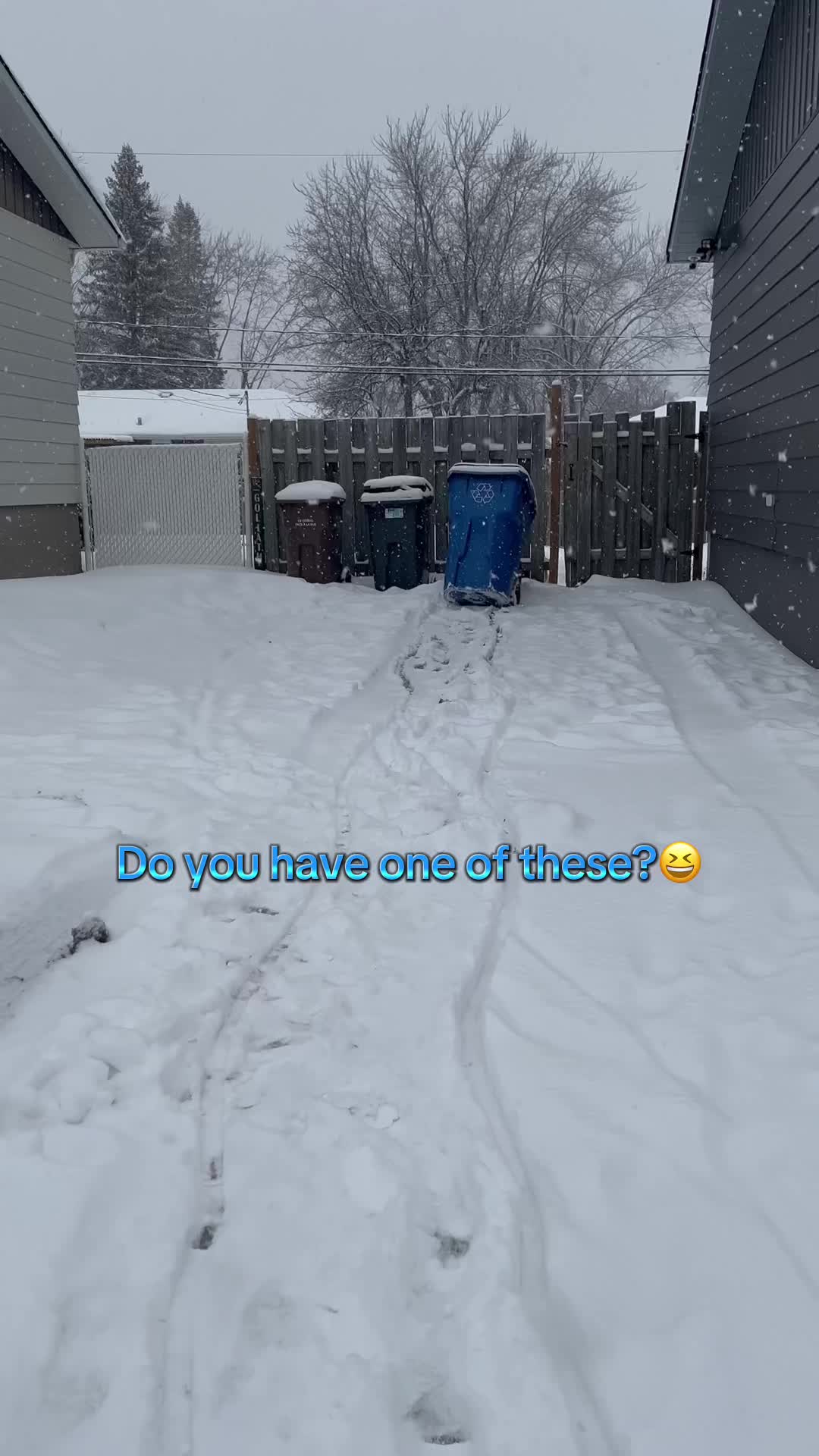 @Mousey