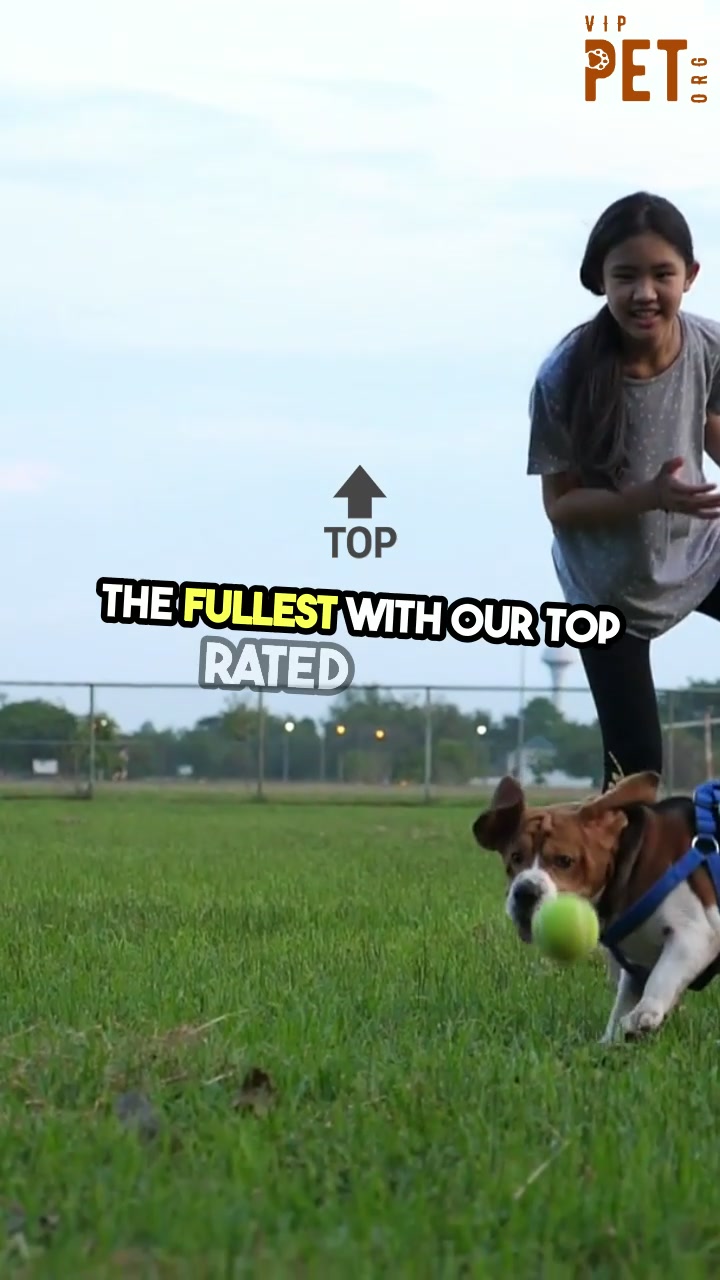 @VIP PET ORG