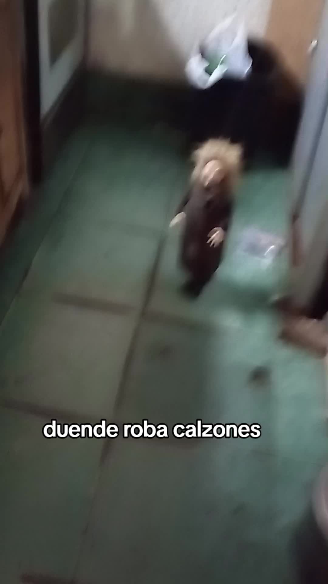 @Falopita el "g&uuml;ende"
