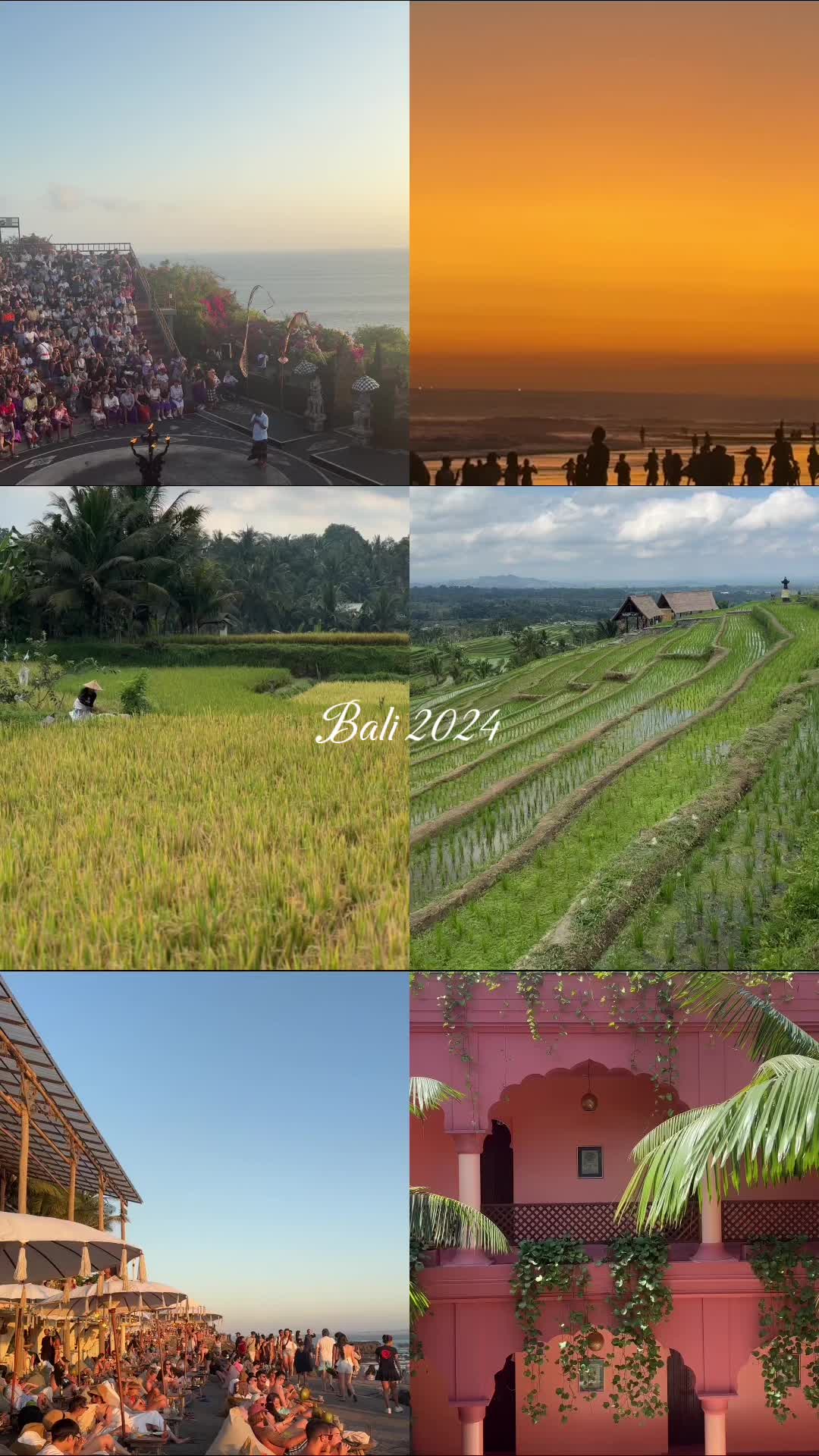 @thatvegetraveller