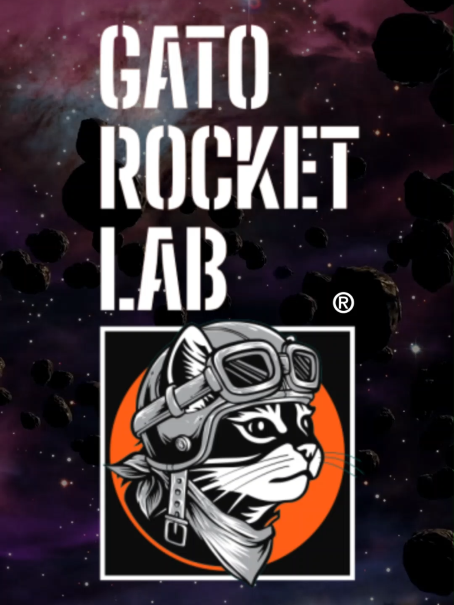 @Gato Rocket - Lab