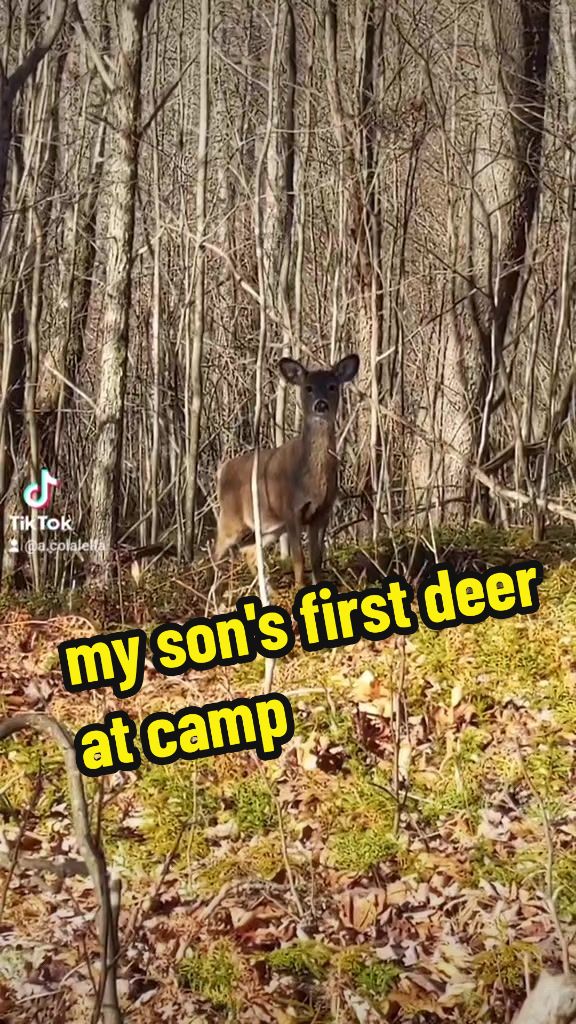 @Anthony C