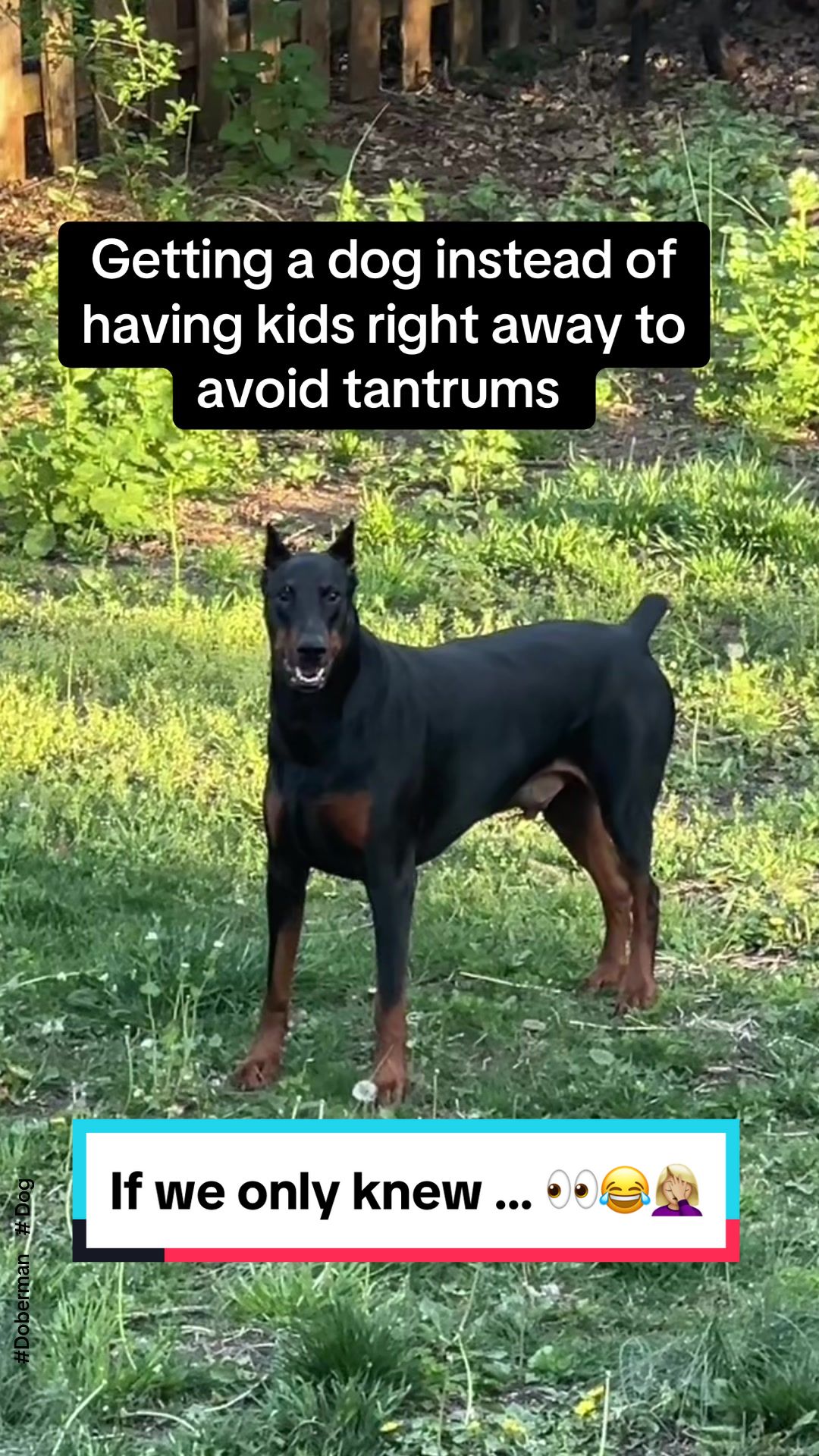 @Tiny Bear & Tiny Horse
