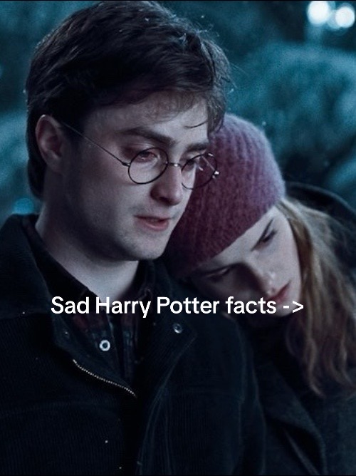 @Just a Potterhead 🫡