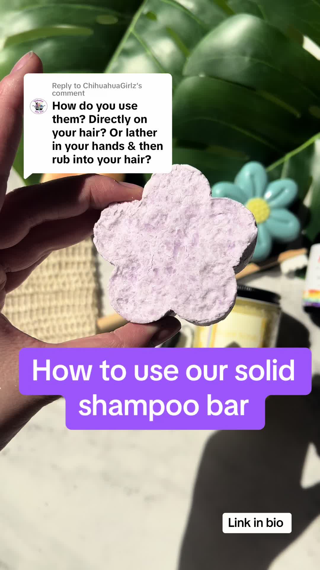 @Oak&ensp;&&ensp;Willow