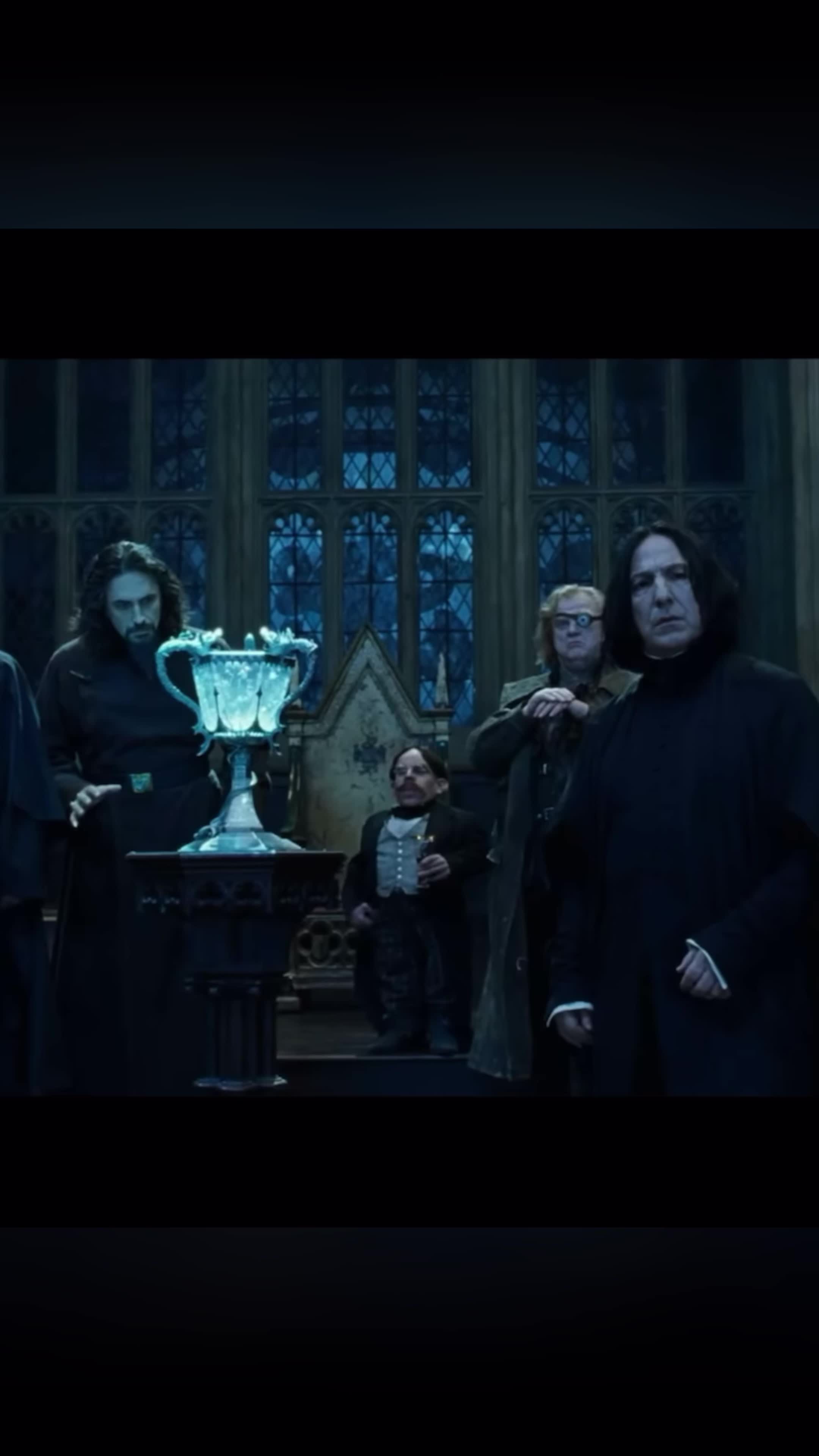 @Just a Potterhead 🫡