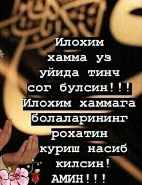 @ЗЕБО 24