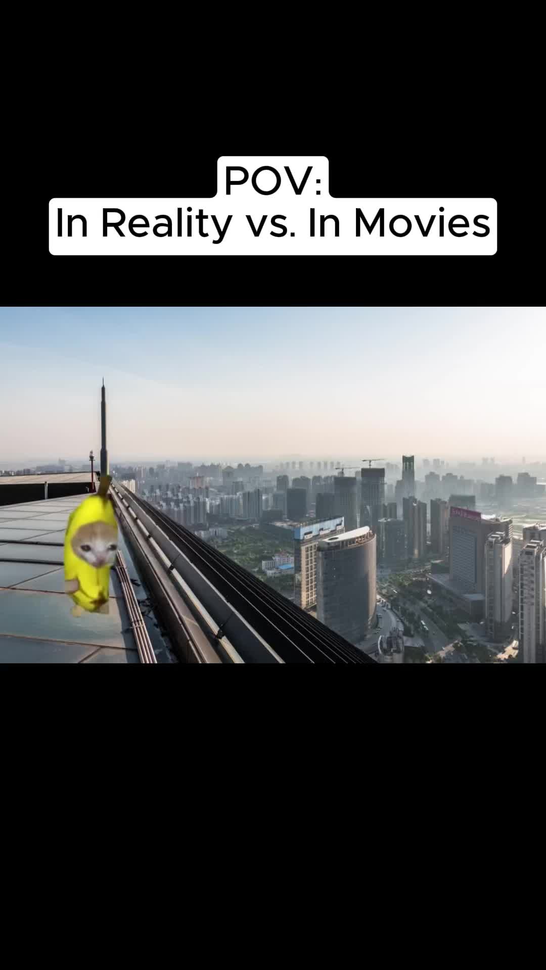@Meme Meow 🐈🐈&zwj;⬛