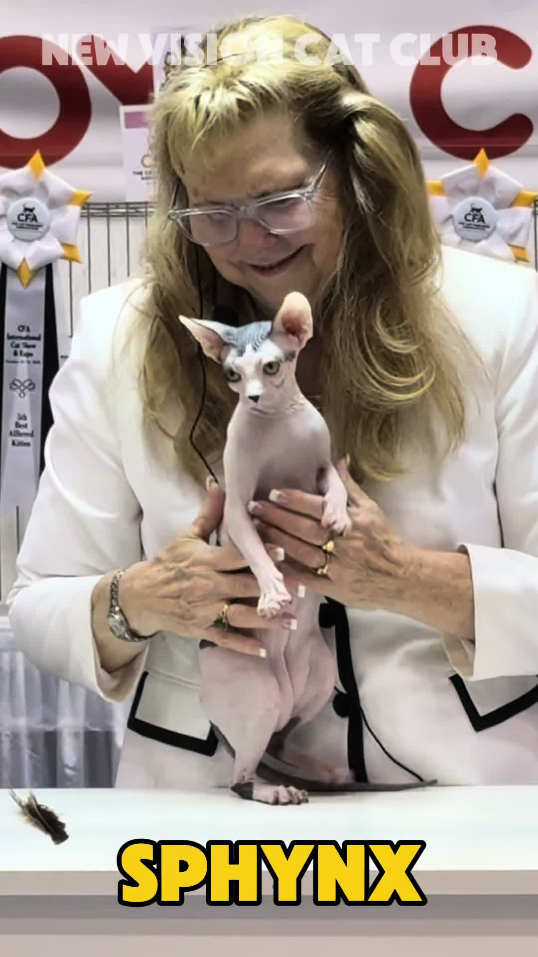 @NewVisionCatClub
