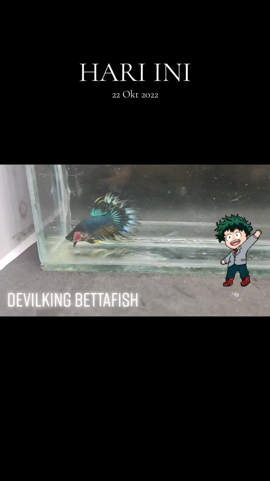 @DevilKing Store