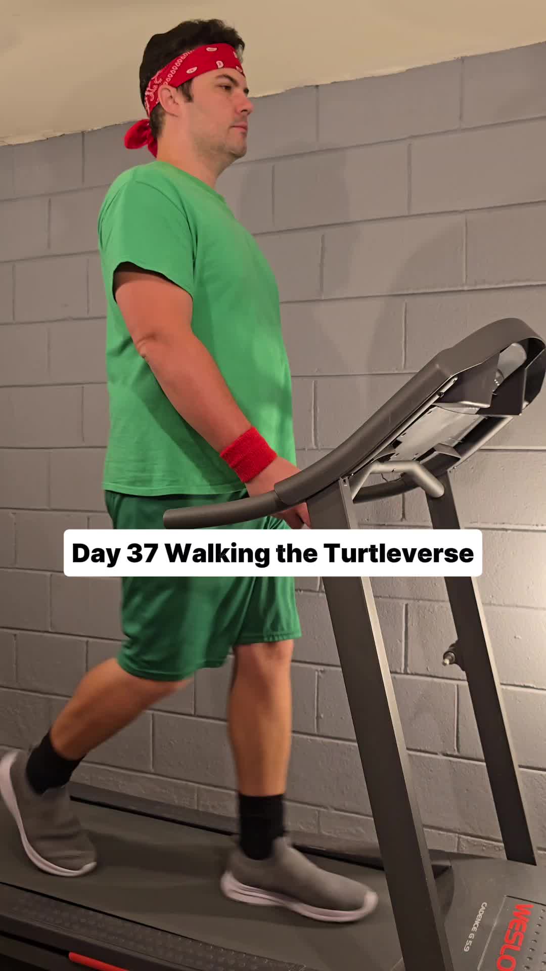 @Walking the Turtleverse