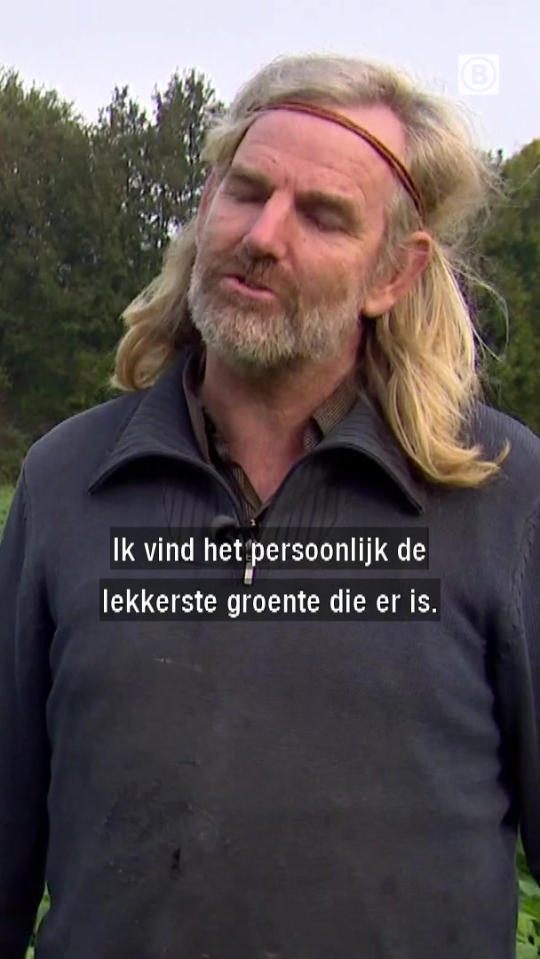 @Omroep Brabant