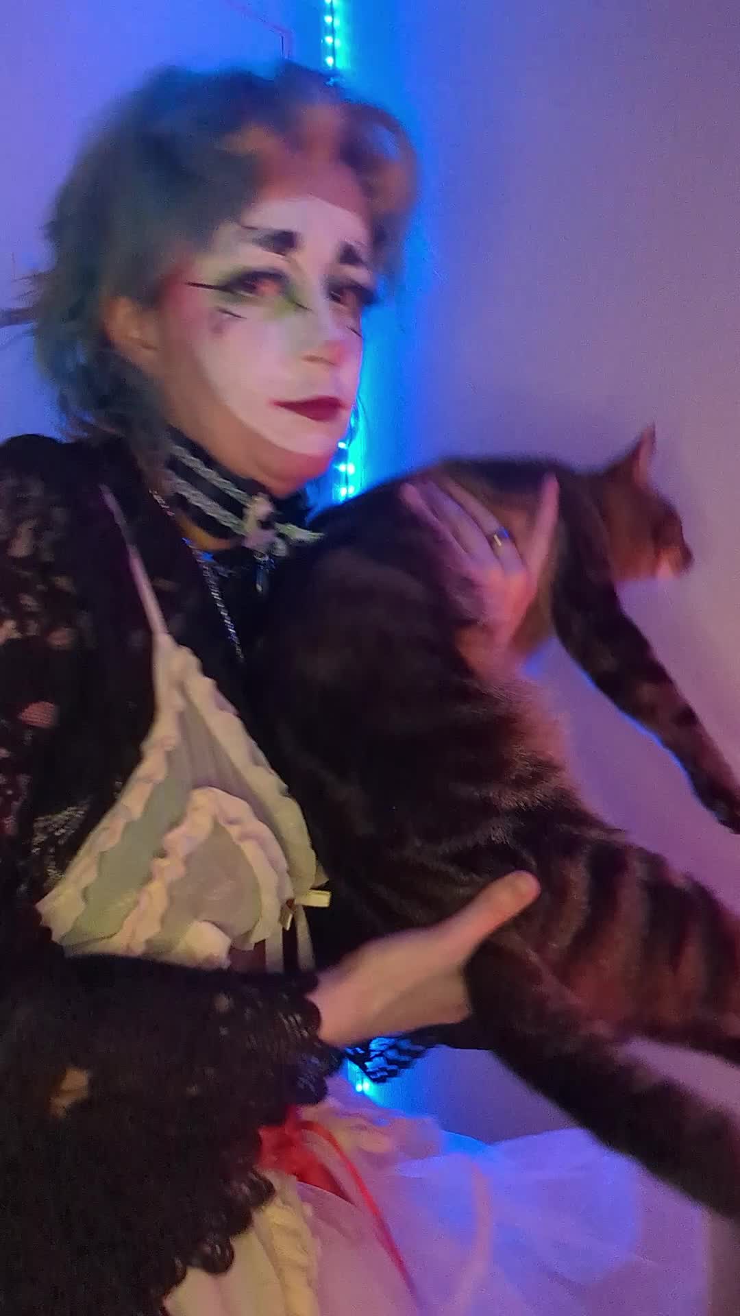 @🌸 Koko 🌸