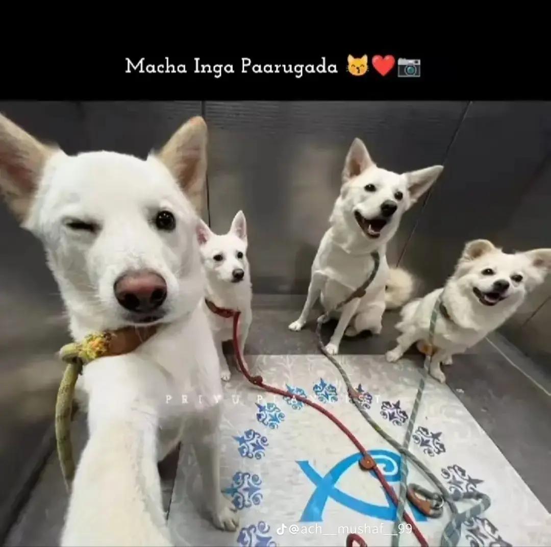 @&bull;◎𝘀𝗸◎𝗸𝗮𝗷𝗮✿◎&bull;-❤&zwj;🩹